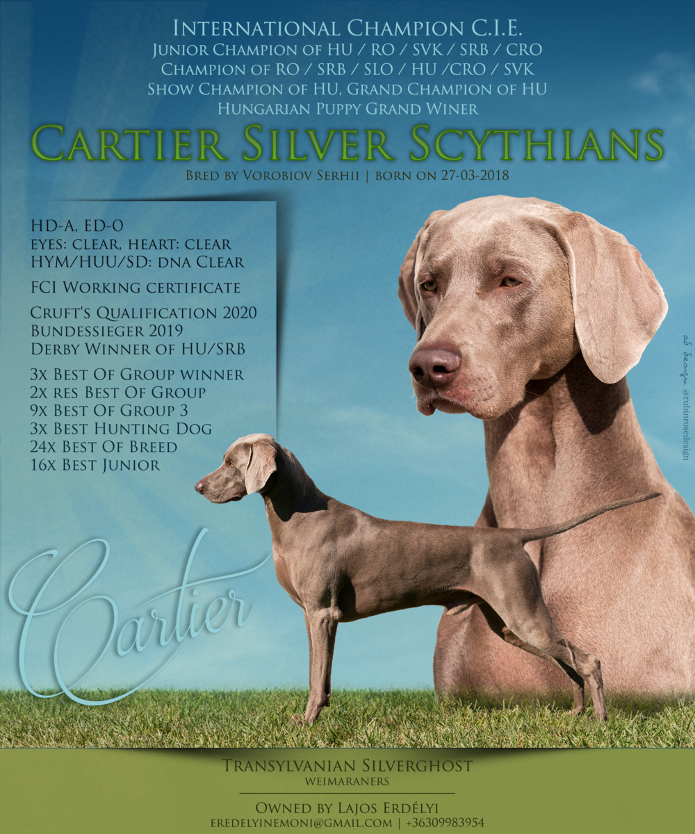 Image of Cartier Silver Scythians