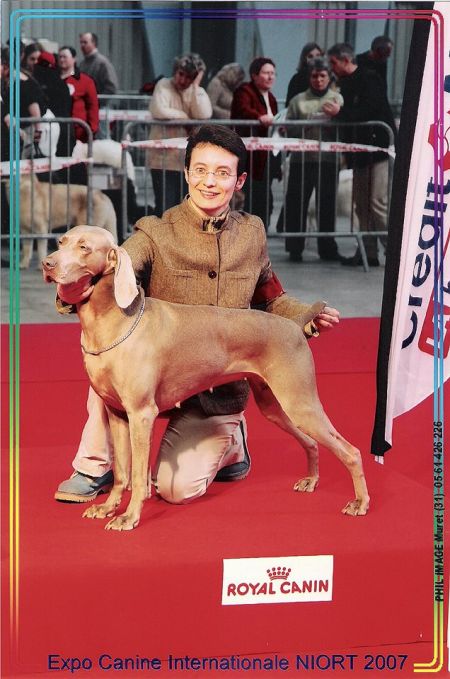 Image of S'Amber Diva of the Grey Paradise