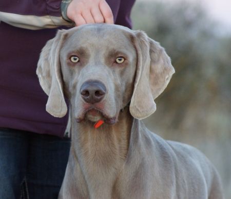 Image of Floyd Zum Kestenbusch