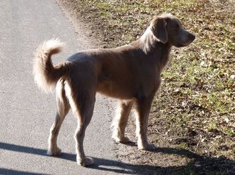 Image of Floyd Zum Kestenbusch