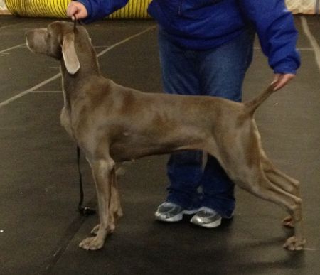 Image of PM's Crimson And Clover