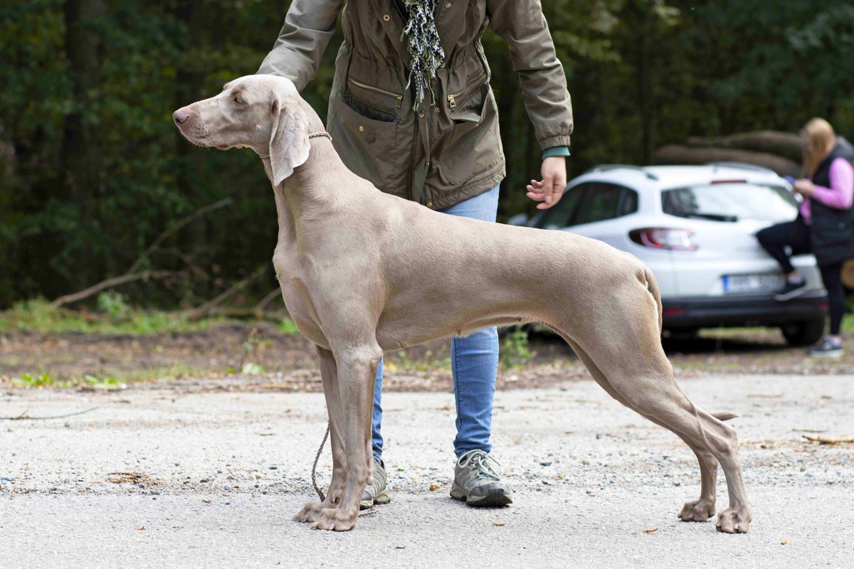 Image of Bitter Sweet Love Emerald Marvel