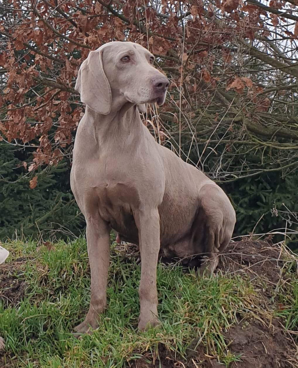 Image of Enny od Plasoku