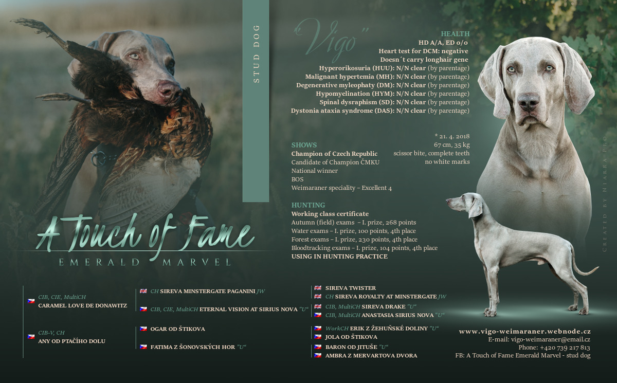 Image of A Touch of Fame Emerald Marvel