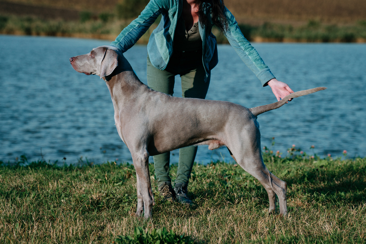 Image of A Touch of Fame Emerald Marvel