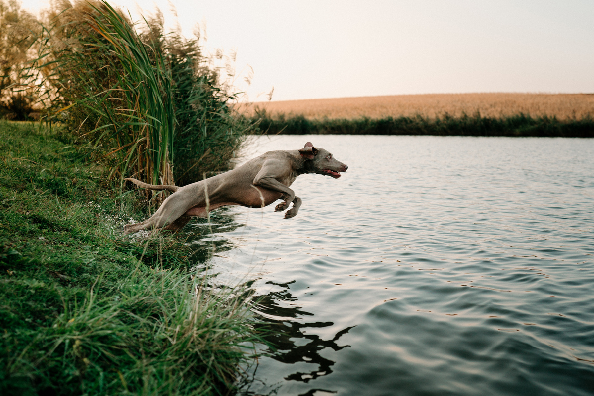 Image of A Touch of Fame Emerald Marvel