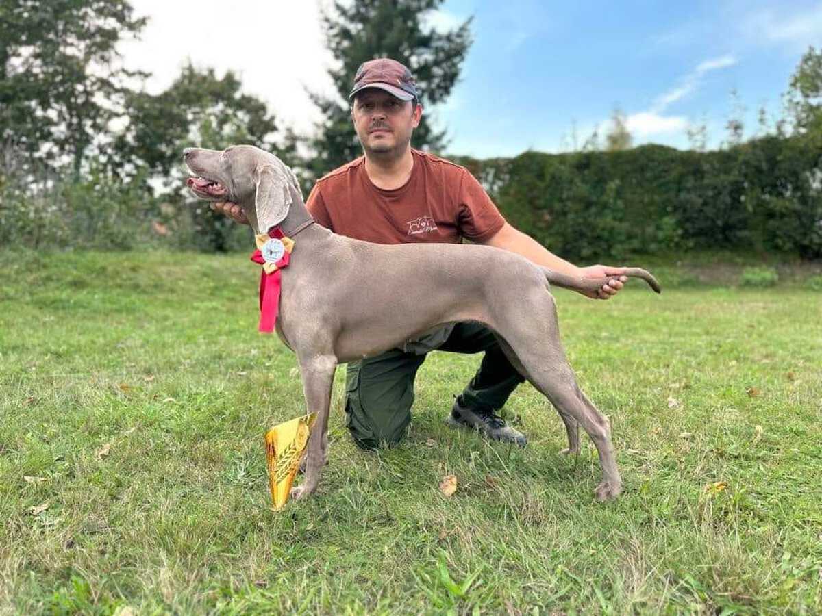 Image of Catching Fire Emerald Marvel