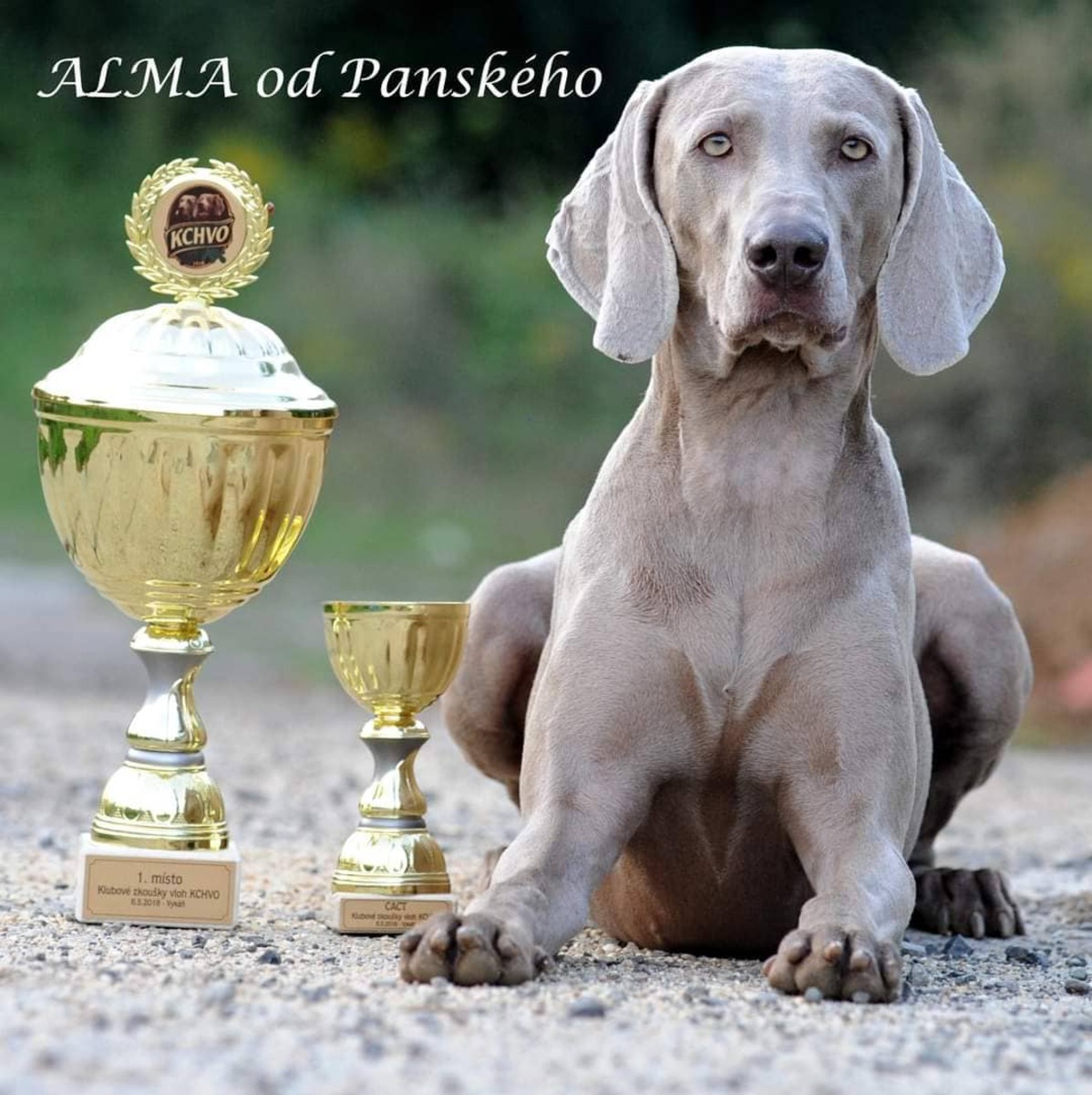 Image of Alma od Panskeho