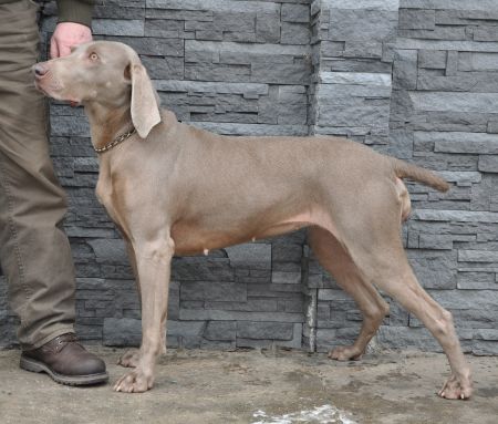 Image of Abi ze Skalecniku