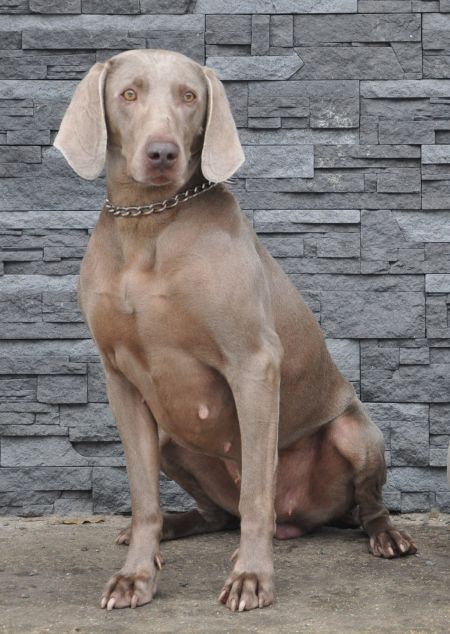 Image of Abi ze Skalecniku