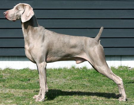 Image of Driftwood's Time Out of Mind