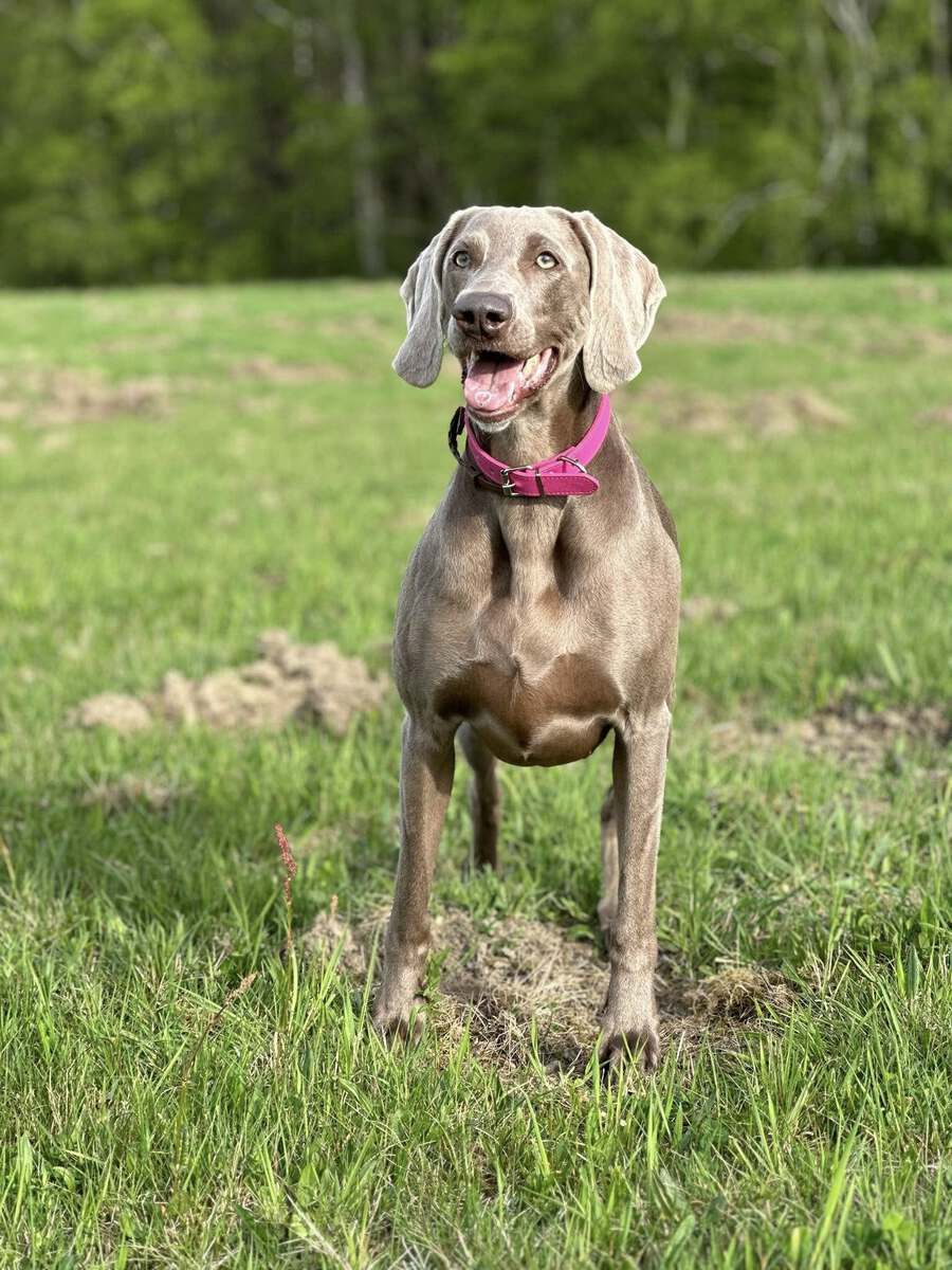 Image of Catching Fire Emerald Marvel