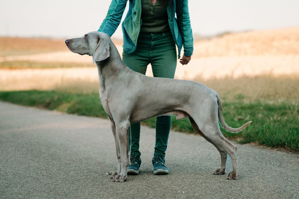 Image of A Touch of Fame Emerald Marvel