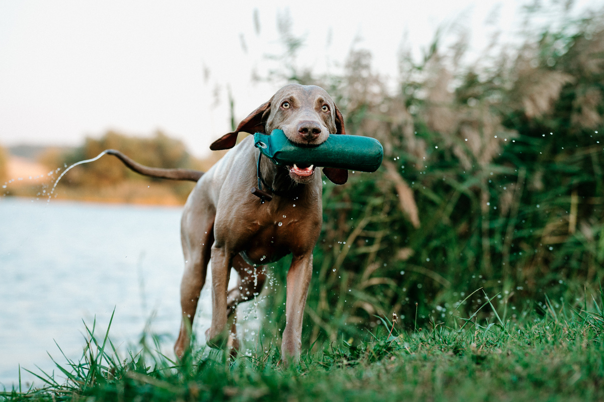 Image of A Touch of Fame Emerald Marvel