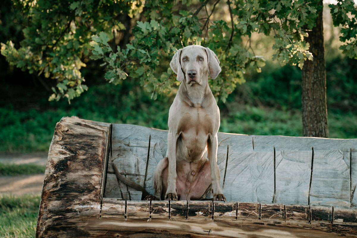 Image of A Touch of Fame Emerald Marvel