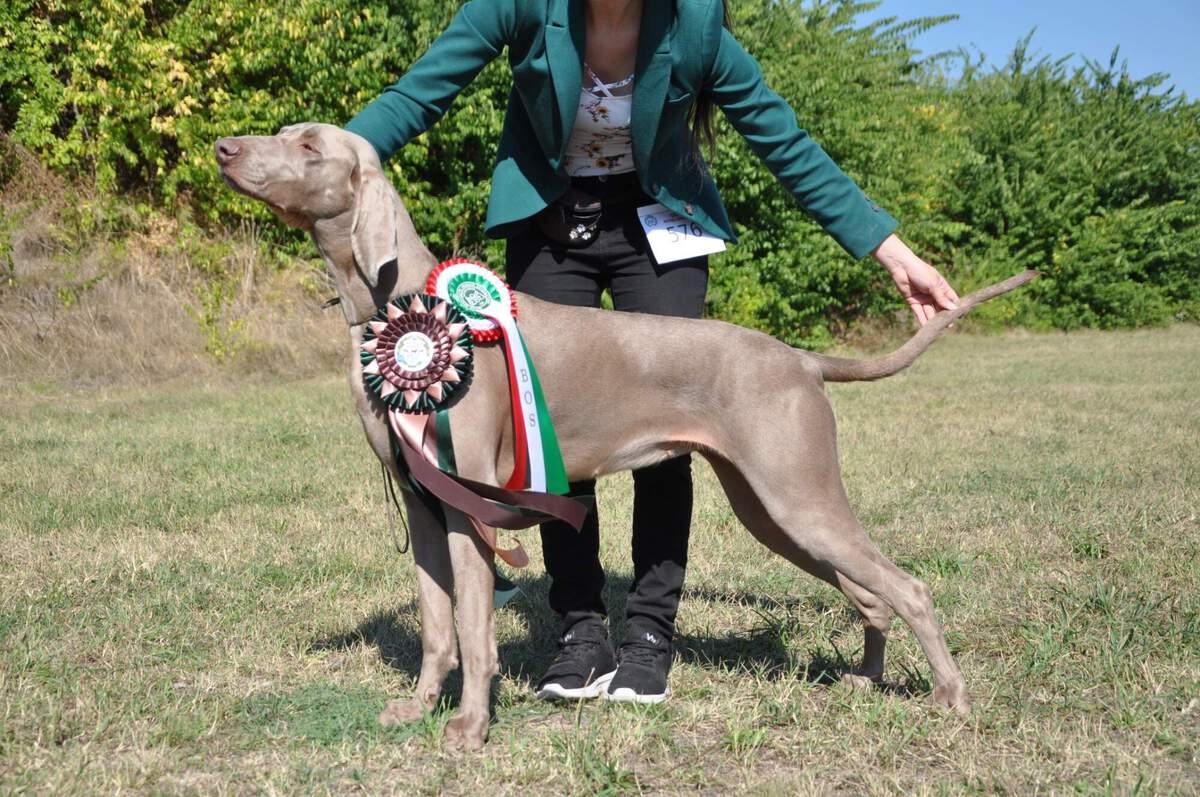 Image of Bitter Sweet Love Emerald Marvel