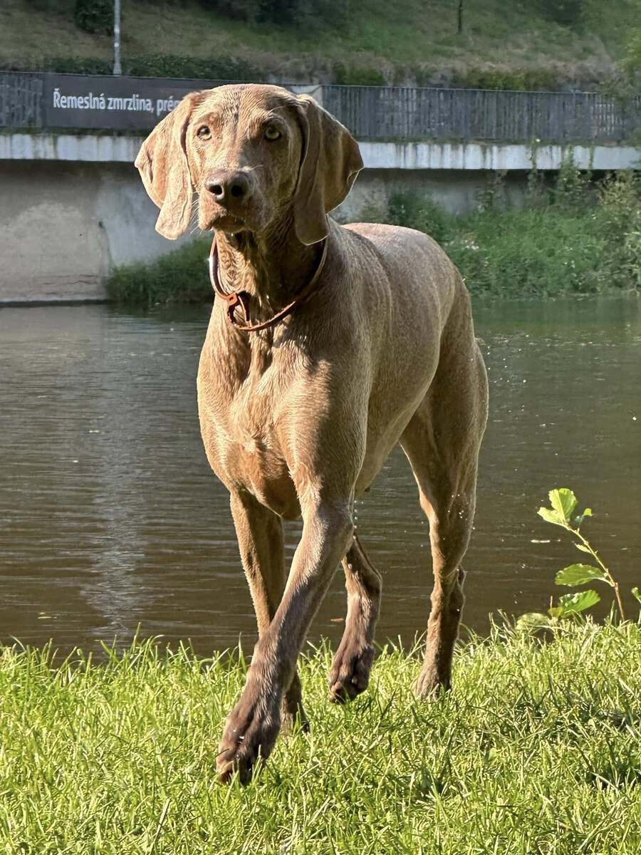 Image of Catching Fire Emerald Marvel