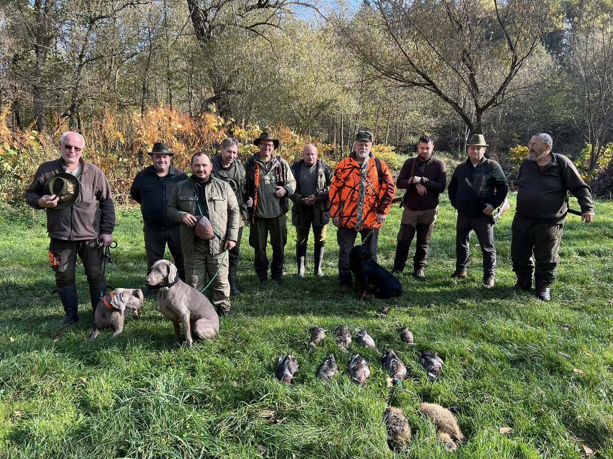 Image of Catching Fire Emerald Marvel