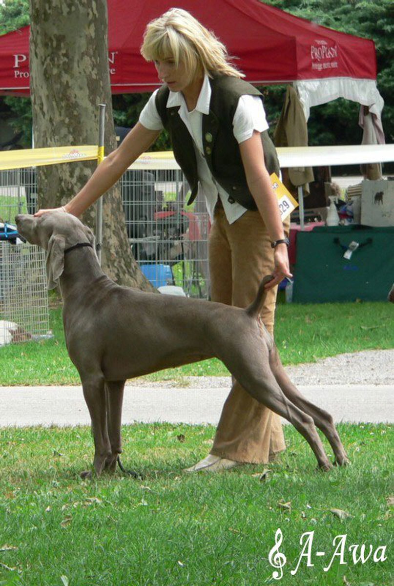 Image of Fraza Kacze Gniazdo