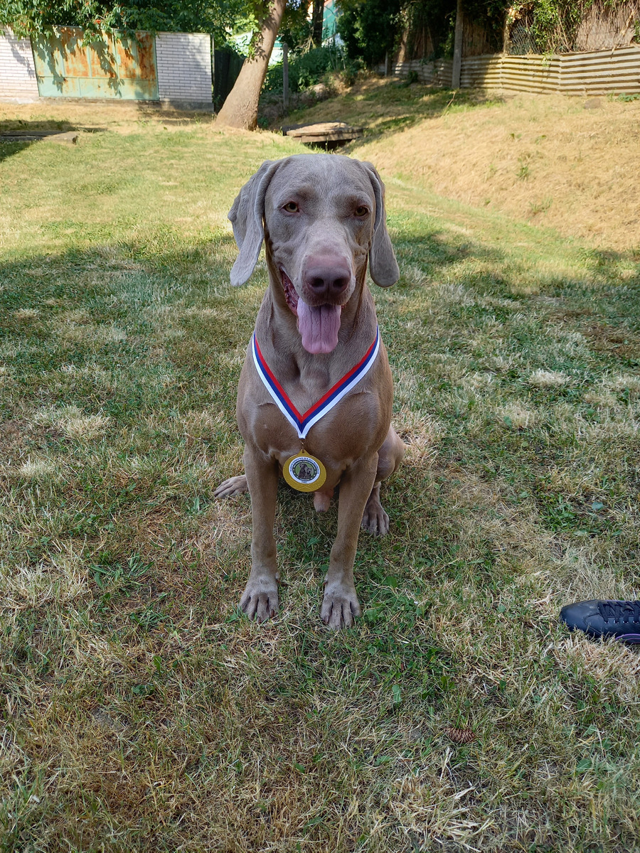 Image of Cis from Schwarzenberk Park