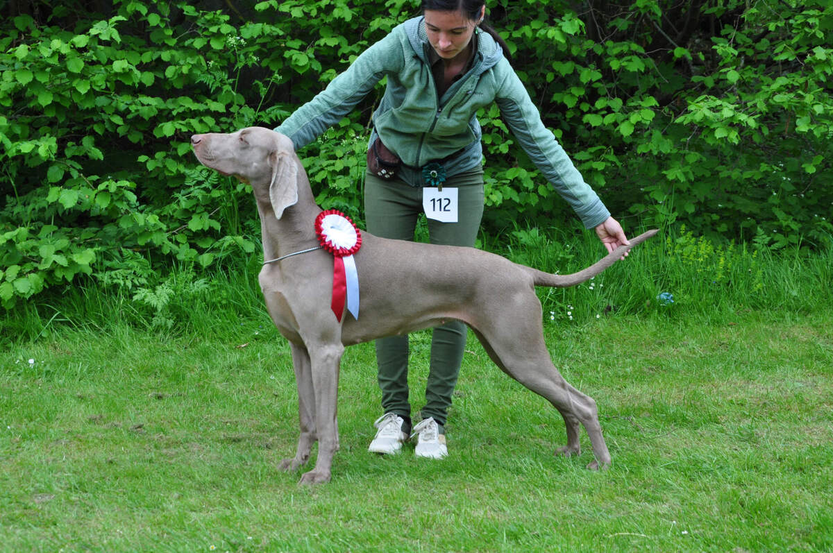 Image of Bitter Sweet Love Emerald Marvel