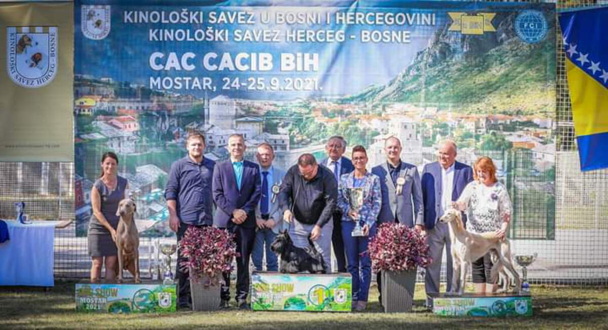 Image of Omega des Fantomes Gris de la Selune