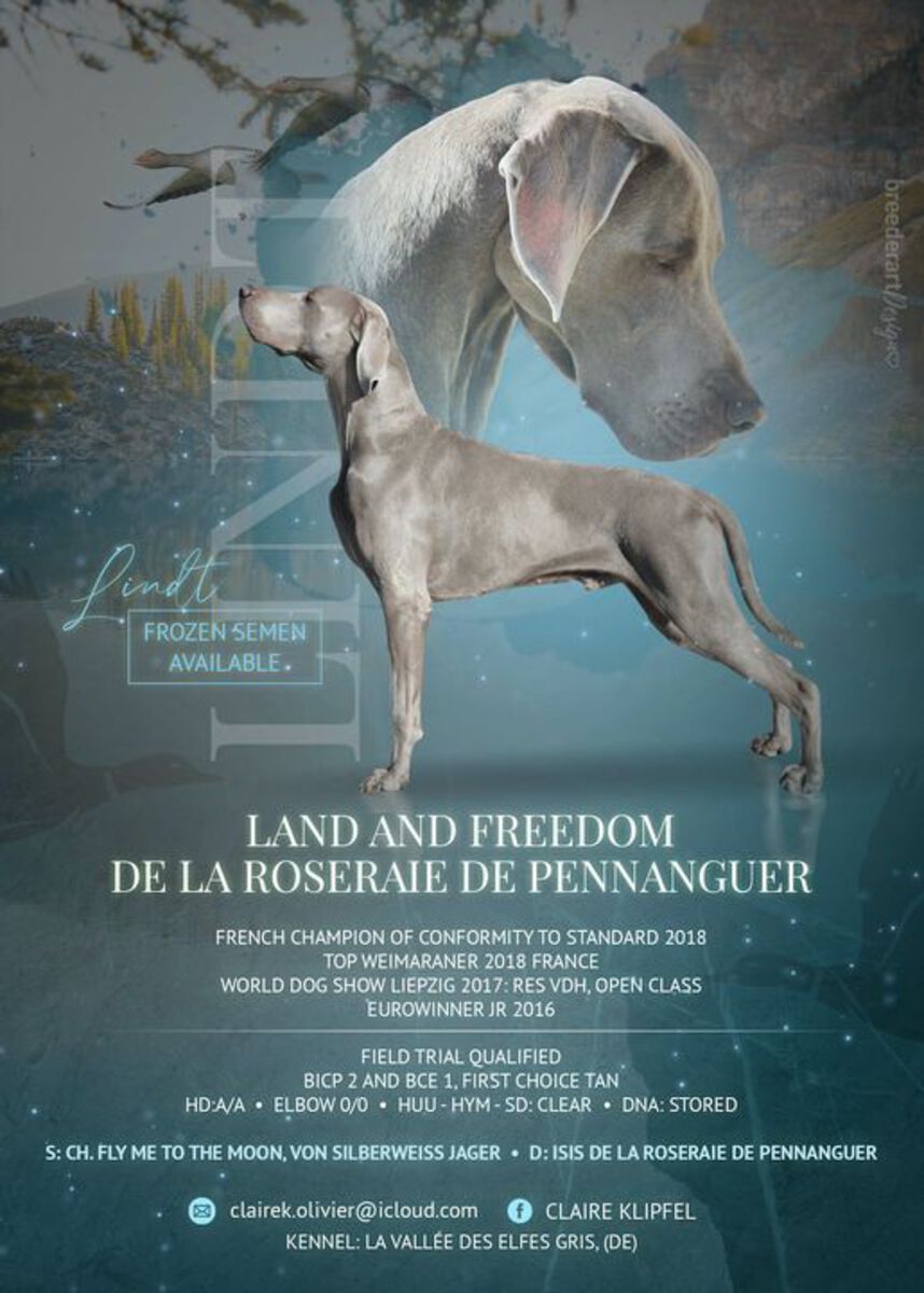 Image of Land And Freedom de la Roseraie de Pennanguer