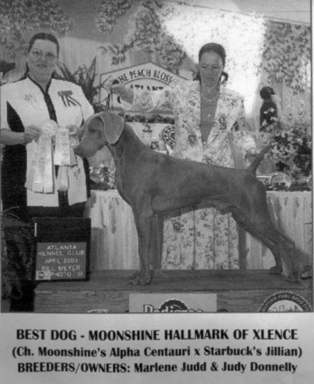 Image of Moonshine Hallmark Of Xlence