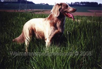 Image of Busca vom Kreuzsee