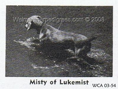 Image of Misty of Lukemist