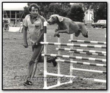 Image of Greyghost Fortune