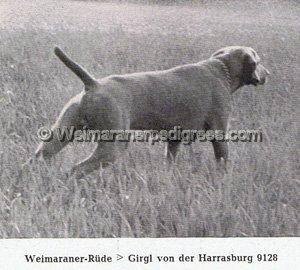 Image of Girgl von der Harrasburg