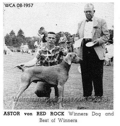 Image of Astor von Red Rock