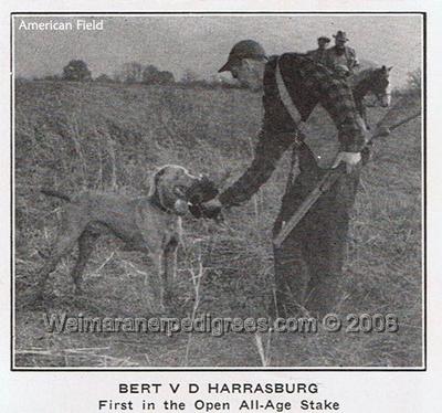 Image of Bert von der Harrasburg