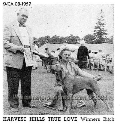 Image of Harvest Hills True Love