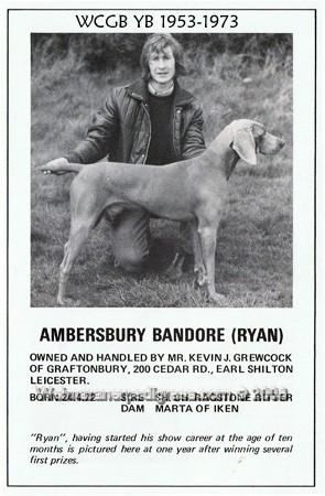 Image of Ambersbury Bandore