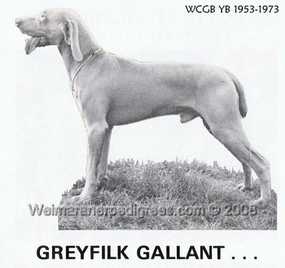 Image of Greyfilk Gallant