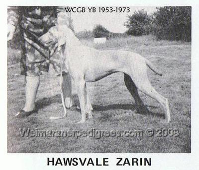 Image of Hawsvale Zarin