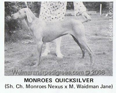 Image of Monroe's Quicksilver