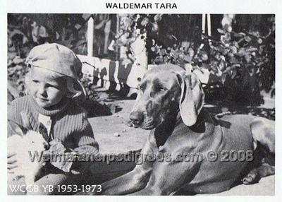 Image of Waldemar Tara