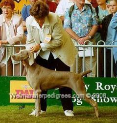 Image of Bromhund Unanimous