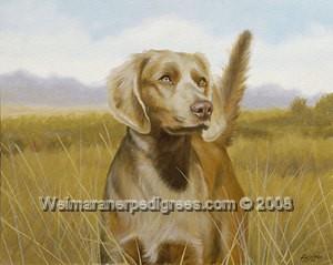 Image of Bromhund Unique Trudi