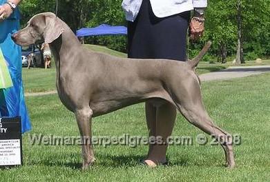 Image of Greybrook-Win-Weim Trail-Blazer