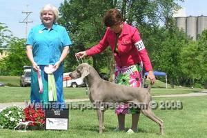 Image of Win'Weim N Nani Paparazzi