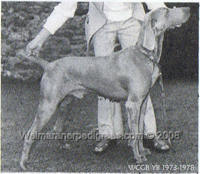 Image of Brundholme Banachek