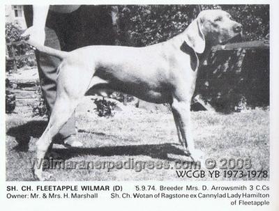 Image of Fleetapple Wilmar