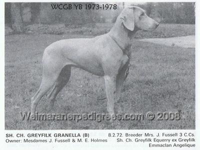 Image of Greyfilk Granella