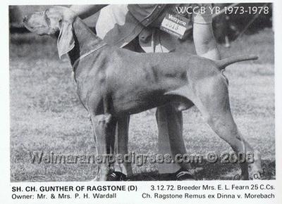 Image of Gunther of Ragstone