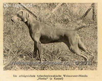 Image of Hanka z Karpat