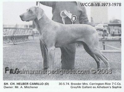 Image of Helber Camillo